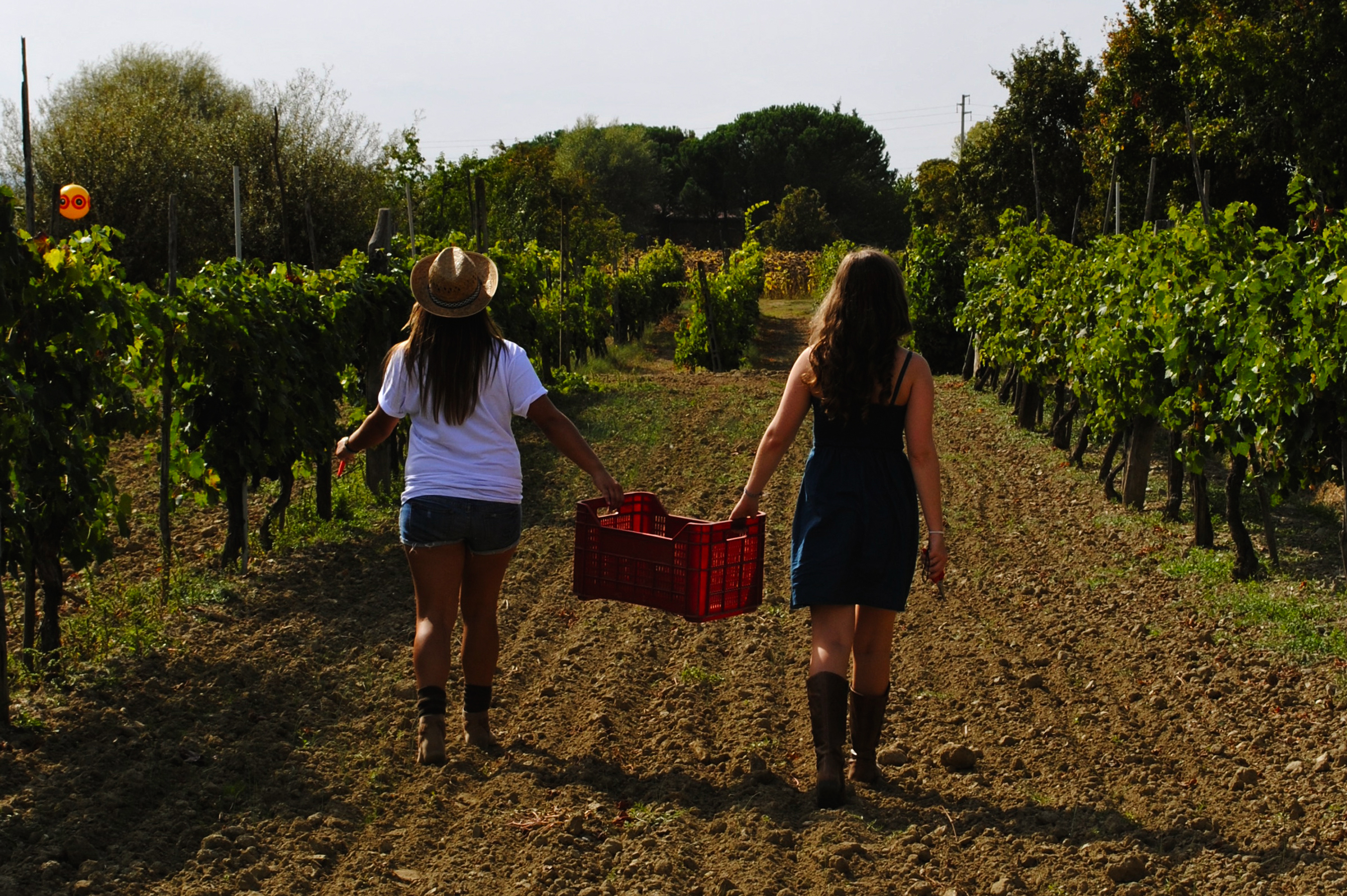 girls on a farm